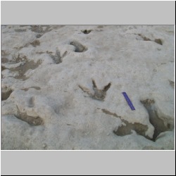 100_0420 (2009-26-07)cr.jpg